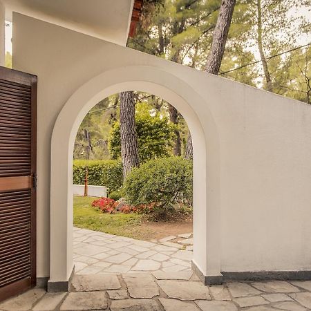 Beautiful Holiday Villa In Sani Сани Бийч Екстериор снимка
