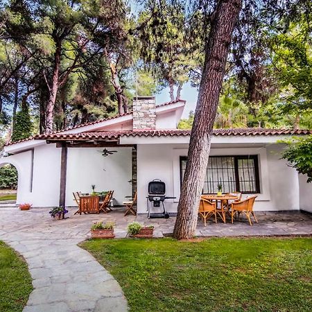 Beautiful Holiday Villa In Sani Сани Бийч Екстериор снимка