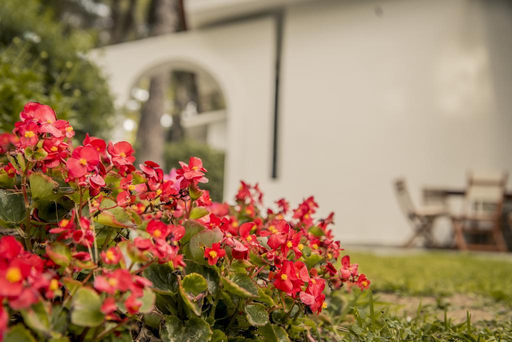 Beautiful Holiday Villa In Sani Сани Бийч Екстериор снимка