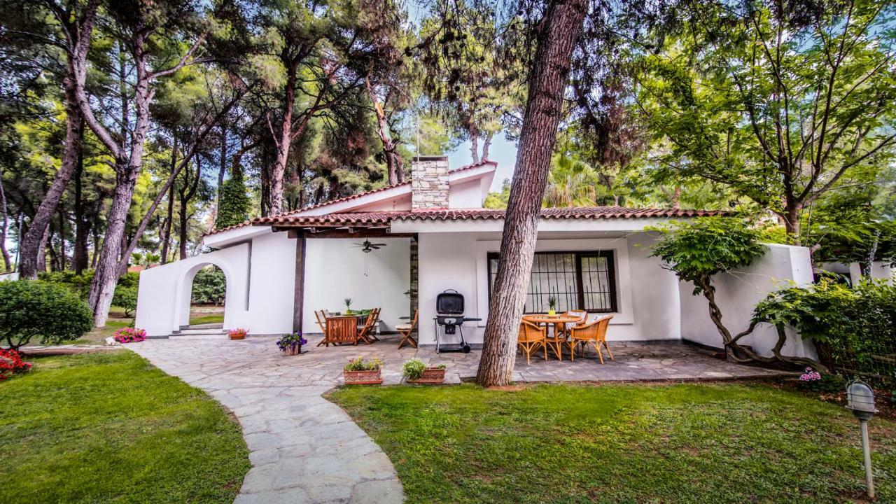 Beautiful Holiday Villa In Sani Сани Бийч Екстериор снимка